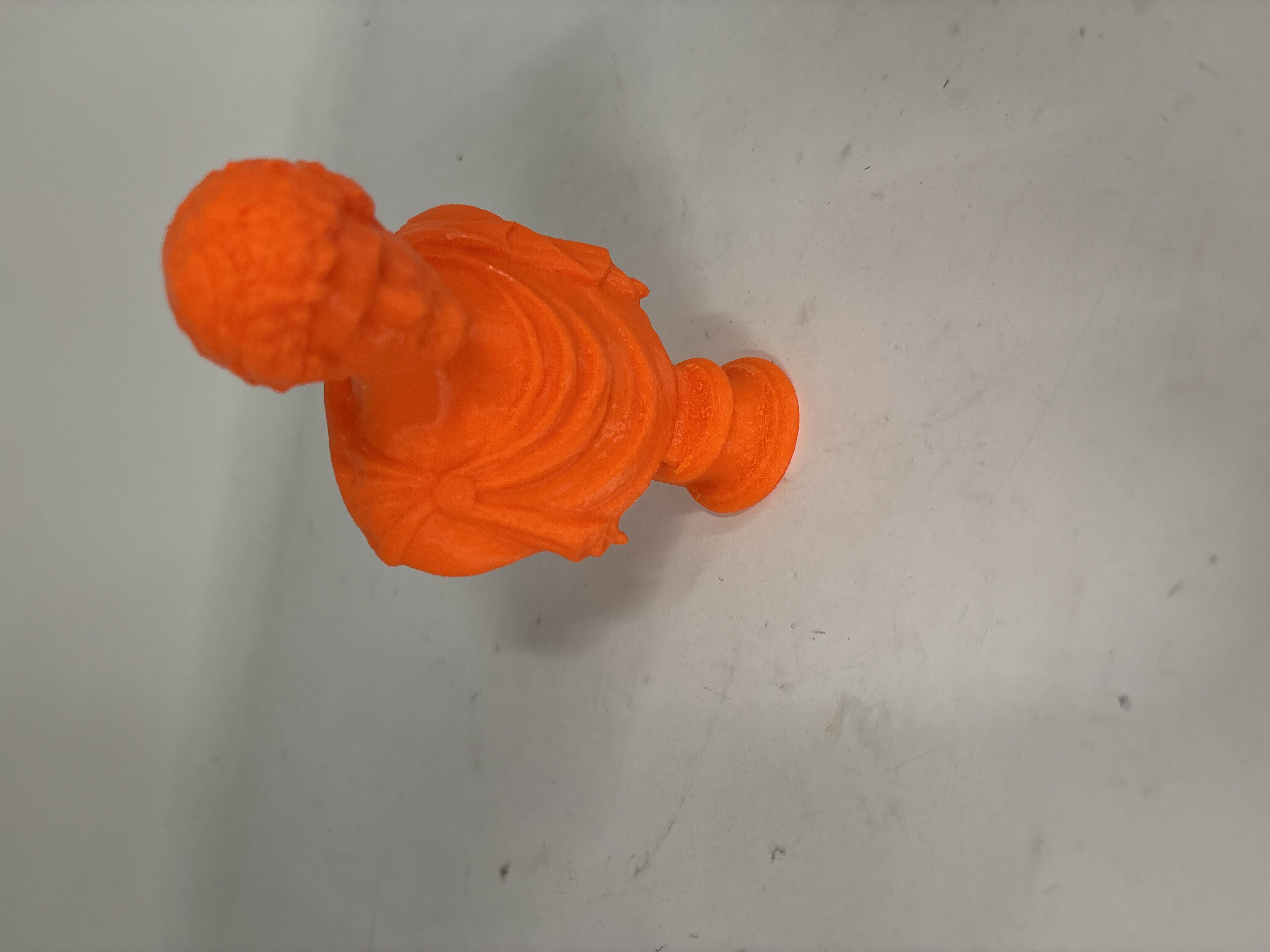 Printed Bust